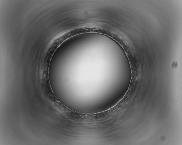 X0000102350920200808011200