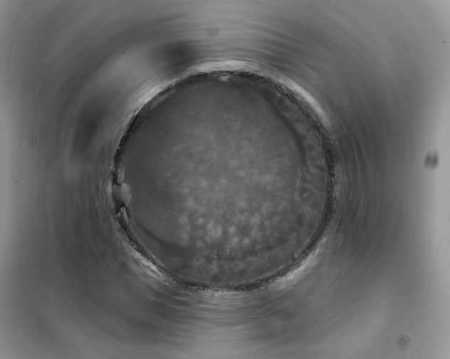 X0000102350921200808011200