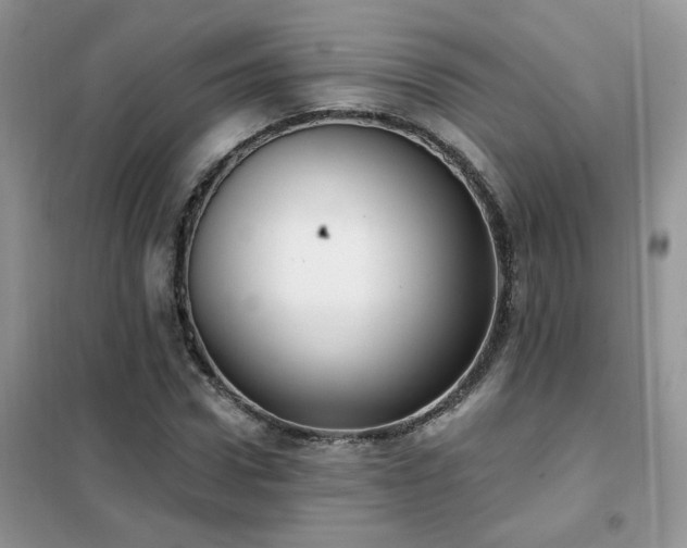 X0000102350922200808011200