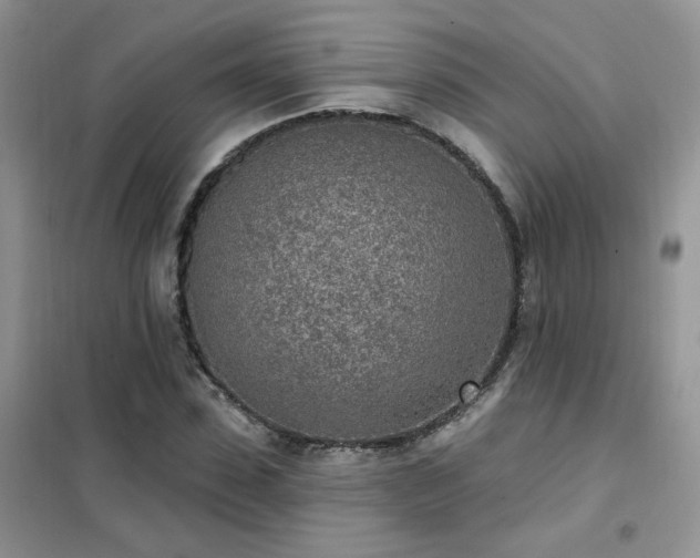 X0000102350923200808011200