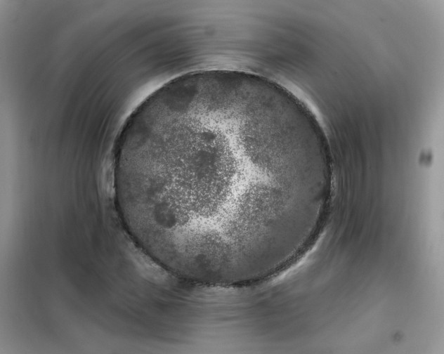 X0000102350925200808011200