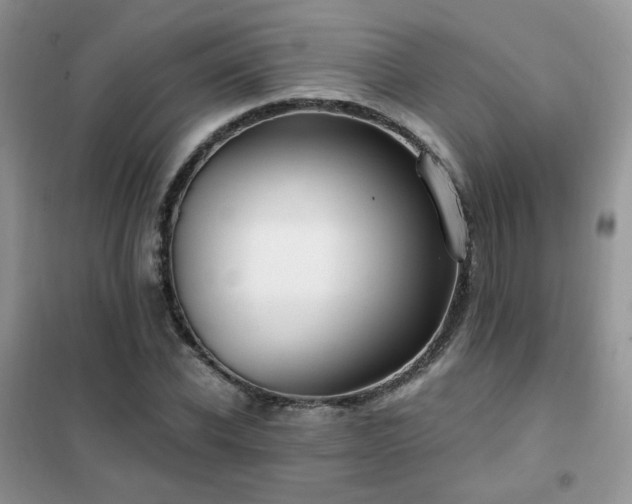 X0000102350926200808011200