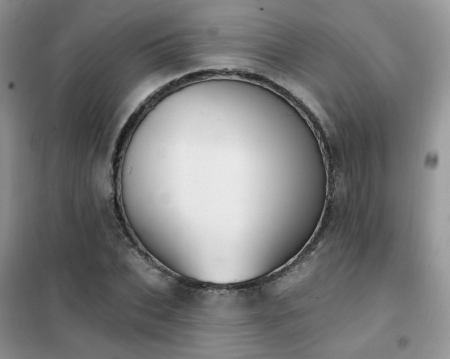 X0000102350927200808011200