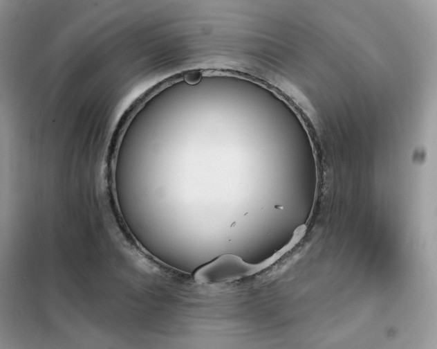 X0000102350928200808011200