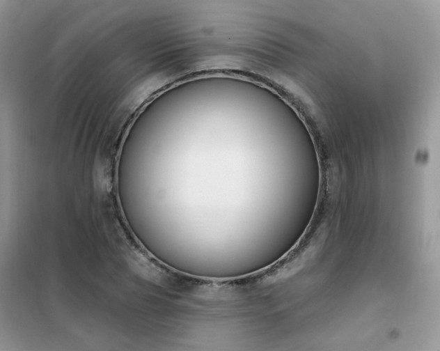 X0000102350929200808011200