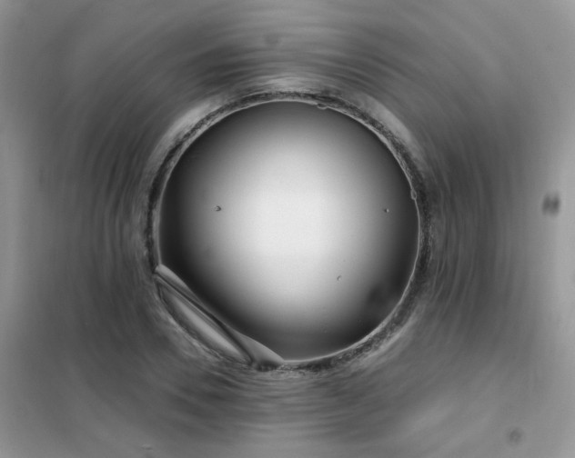 X0000102350930200808011200