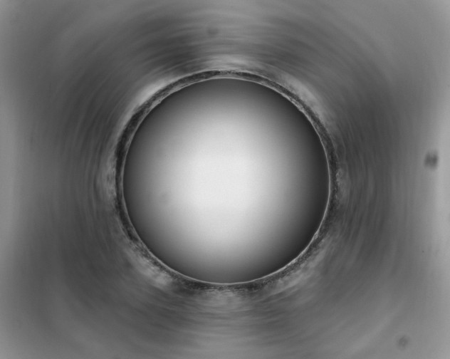 X0000102350931200808011200