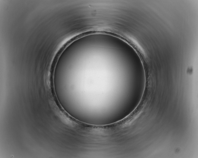 X0000102350932200808011200