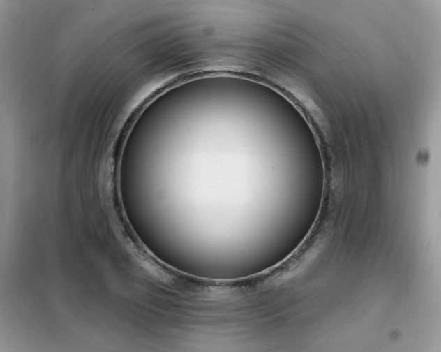 X0000102350933200808011200