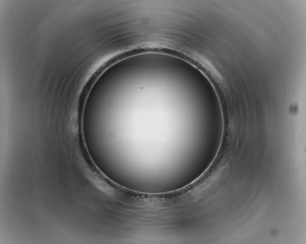 X0000102350934200808011200