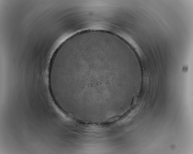 X0000102350935200808011200