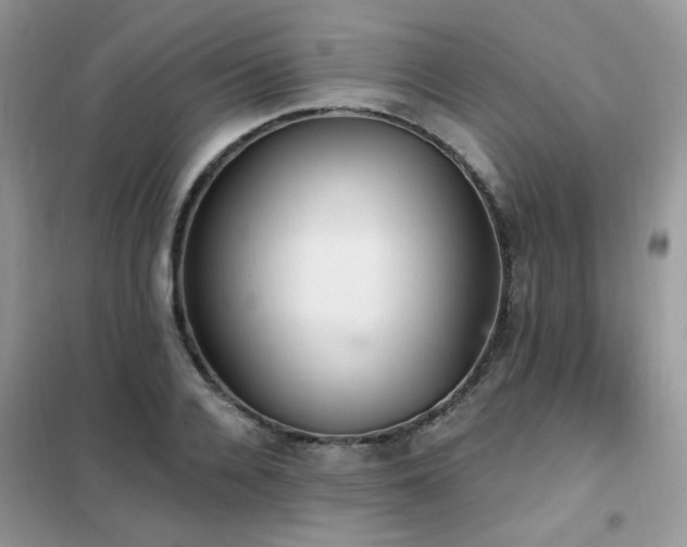 X0000102350936200808011200