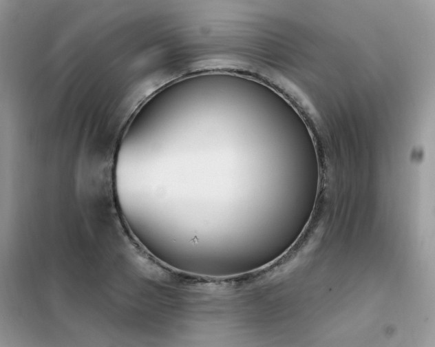 X0000102350937200808011200