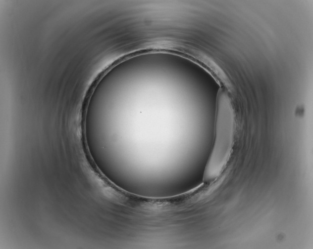 X0000102350939200808011200