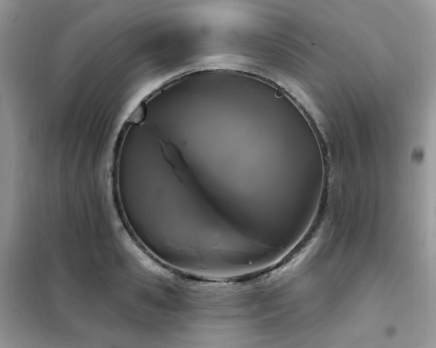 X0000102350941200808011200