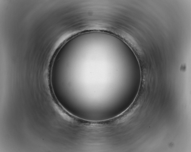 X0000102350942200808011200