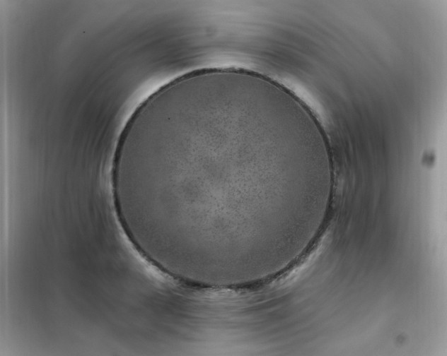 X0000102350943200808011200