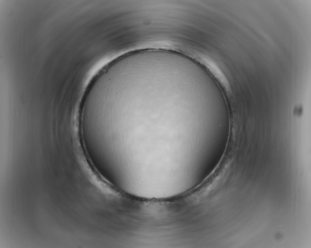 X0000102350944200808011201