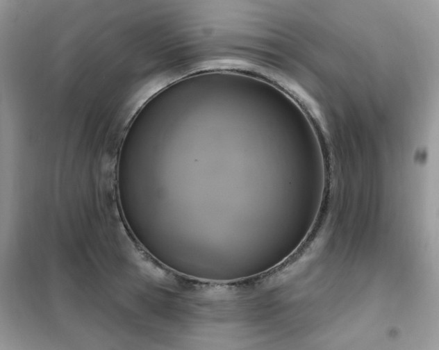 X0000102350945200808011201