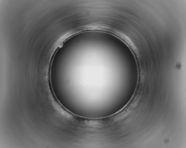 X0000102350946200808011201