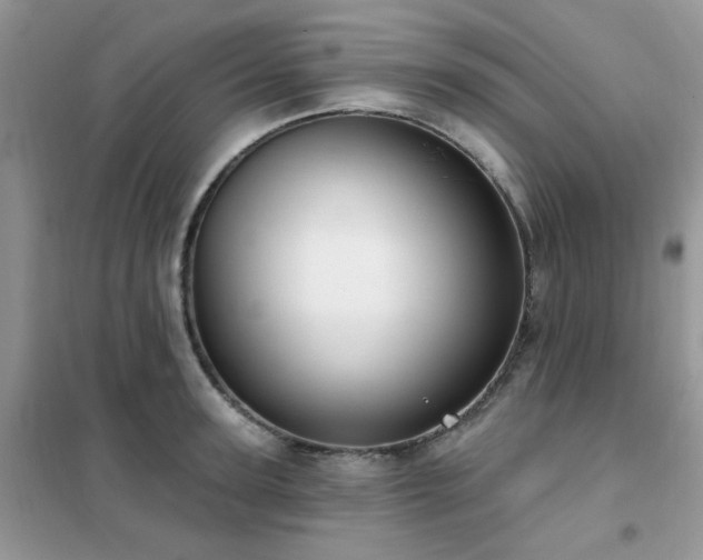 X0000102350947200808011201