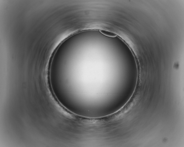 X0000102350949200808011201