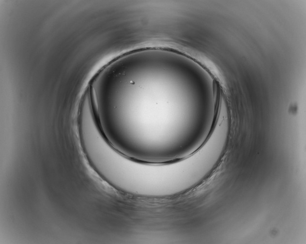 X0000102350950200808011201