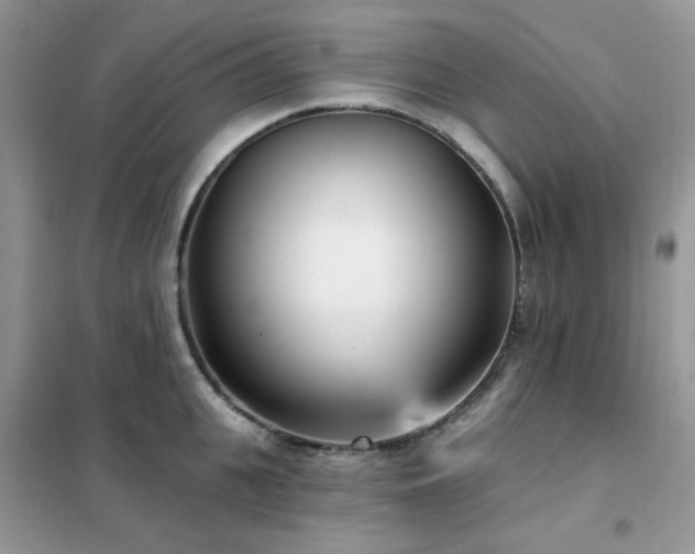 X0000102350951200808011201