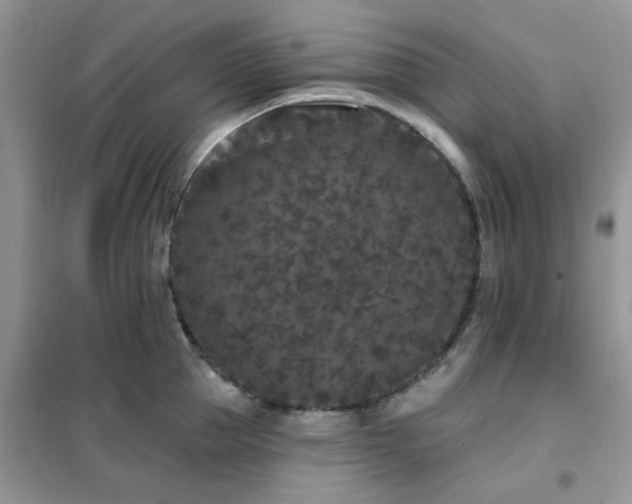 X0000102350953200808011201