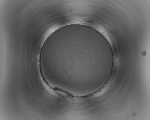 X0000102350954200808011201