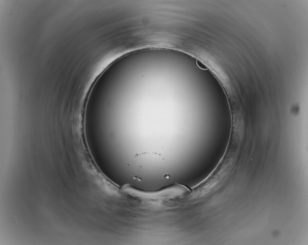 X0000102350956200808011201