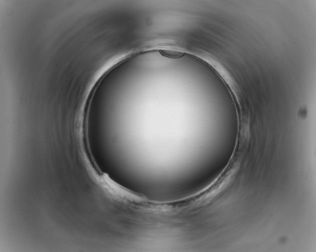 X0000102350957200808011201