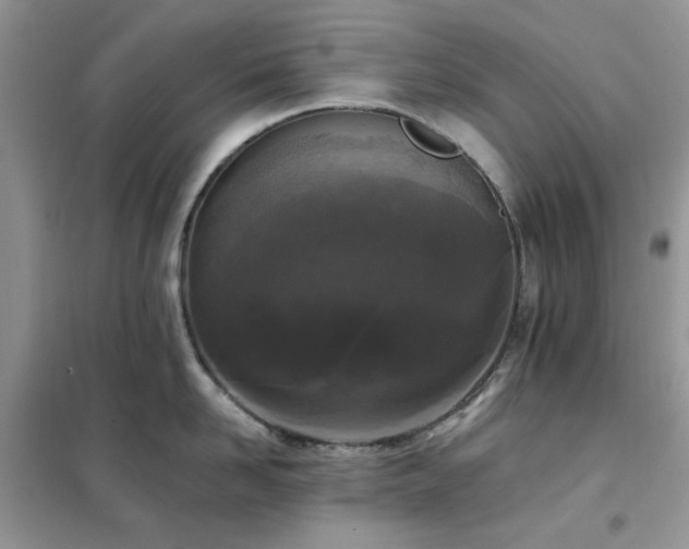 X0000102350958200808011201