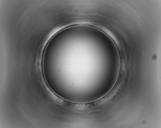 X0000102350959200808011201