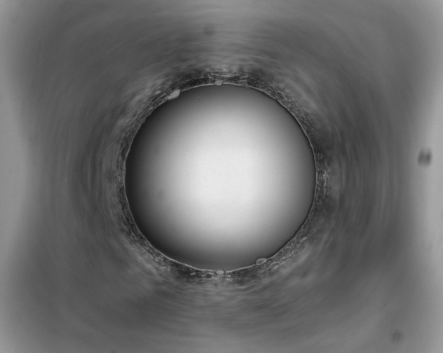 X0000102350961200808011200