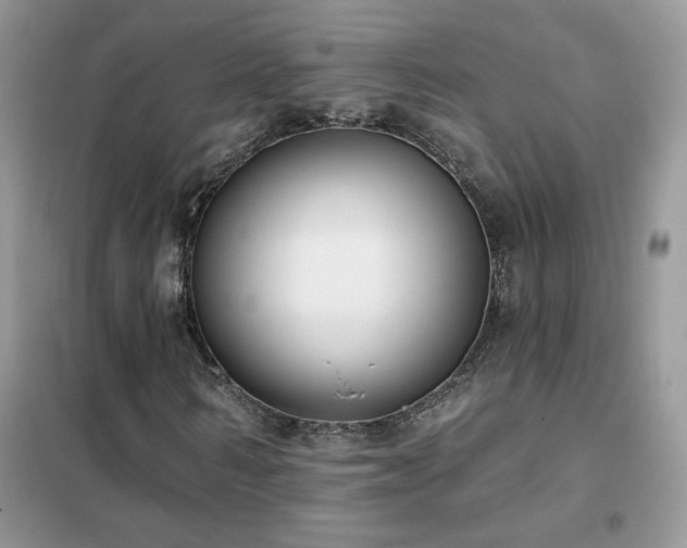 X0000102350962200808011200