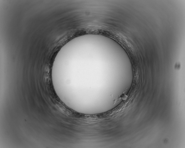 X0000102350964200808011200