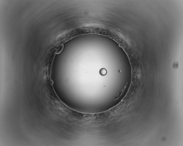 X0000102350965200808011200