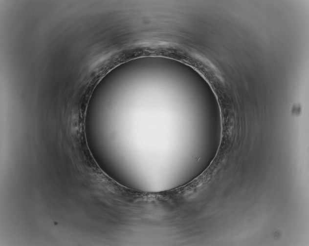 X0000102350966200808011200