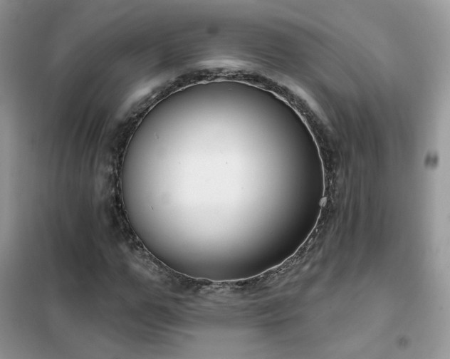 X0000102350967200808011200