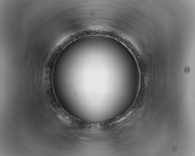 X0000102350968200808011200