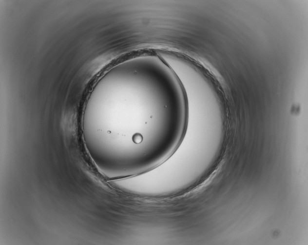 X0000102350969200808011200