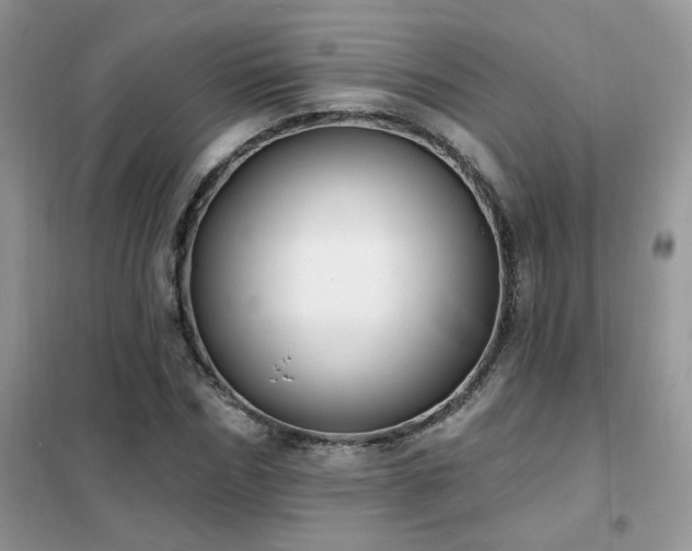 X0000102350970200808011200