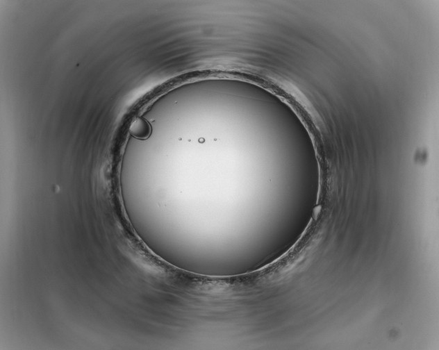 X0000102350971200808011200