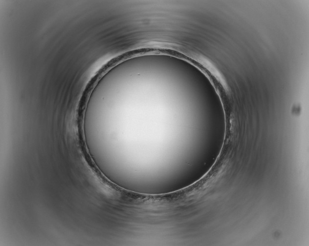 X0000102350972200808011200