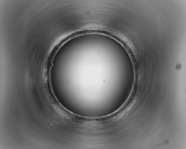 X0000102350973200808011200