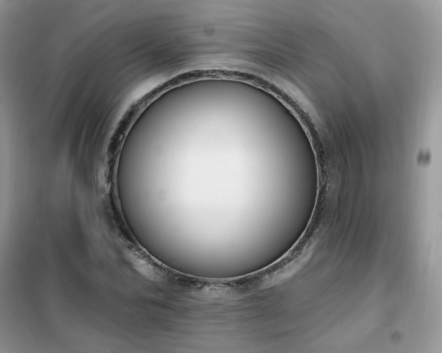 X0000102350974200808011200