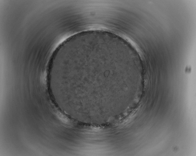 X0000102350975200808011200