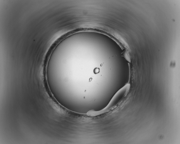 X0000102350976200808011200