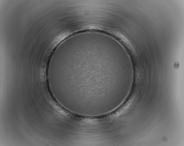 X0000102350977200808011200